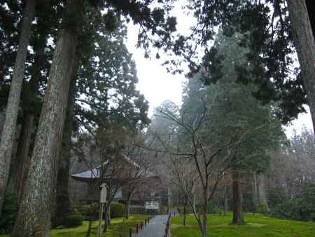 三千院　雨に濡れる木々