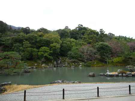 雨の天龍寺曹源池