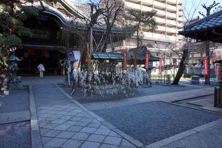 六角堂　境内の本堂と柳