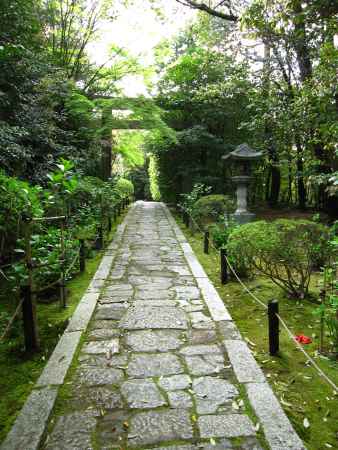 金地院東照宮へ続く道