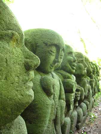 木漏れ日を浴びる羅漢さん