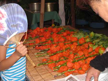 六道まいり名物ほうずき売り