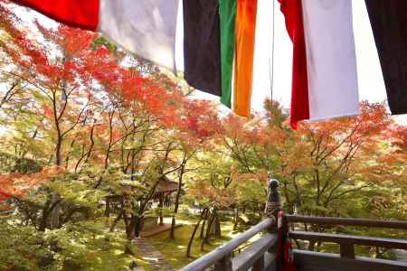 五式幕と紅葉　永観堂2022