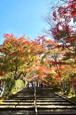 青空と参道と紅葉　永観堂2022