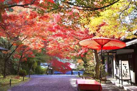 門前の紅葉　三千院2022