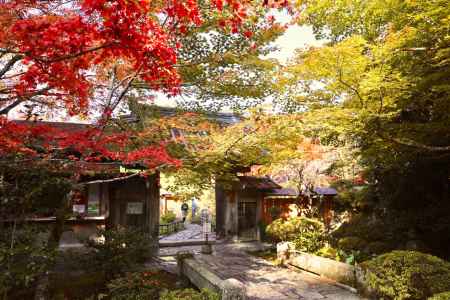 色づく宝泉院　2022