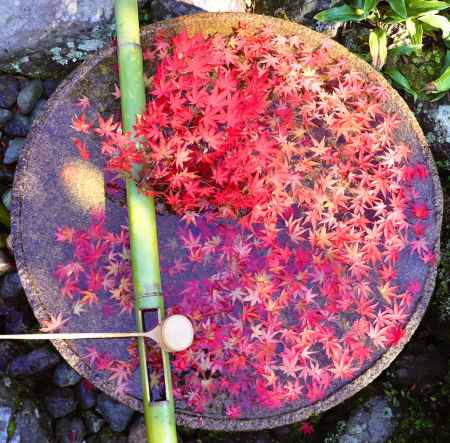 紅色手水鉢　圓光寺2022