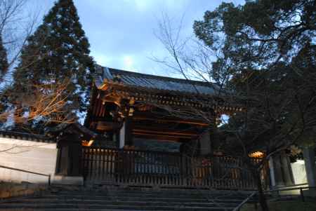 青蓮院ライトアップ