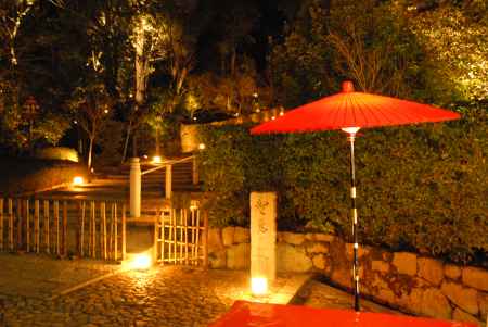 ライトアップと傘