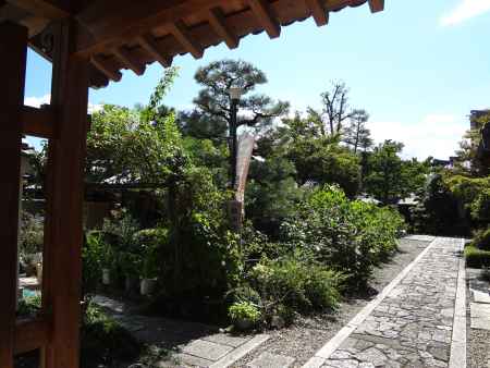 だるま寺の境内