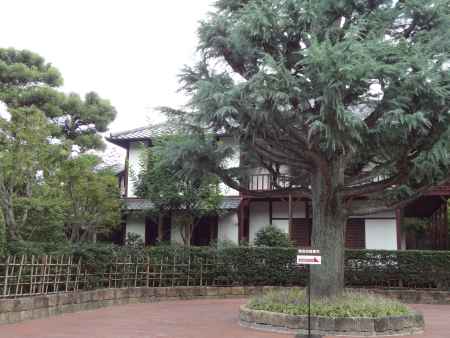 木に隠れる新島旧邸 