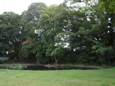 閑院宮邸跡　庭園と木々