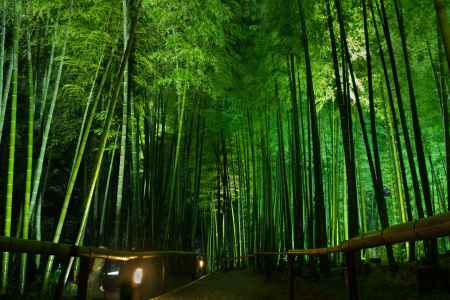高台寺、七夕会③
