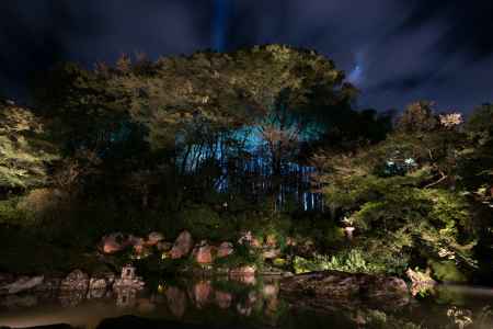 青蓮院秋のライトアップ