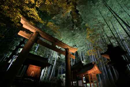 青蓮院、日吉社