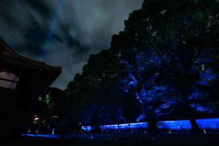 青蓮院ライトアップ②