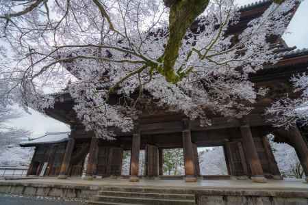 南禅寺三門、雪化粧。