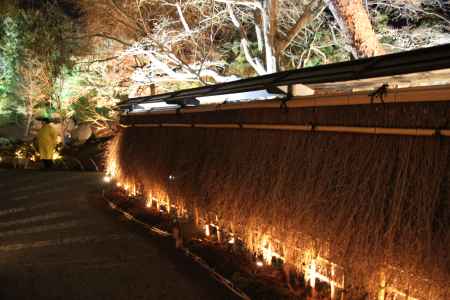 冬支度をした宝厳院の塀