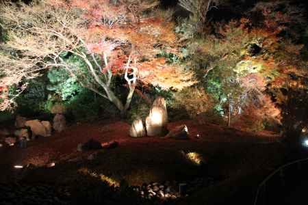 秋の特別拝観時の宝厳院庭園