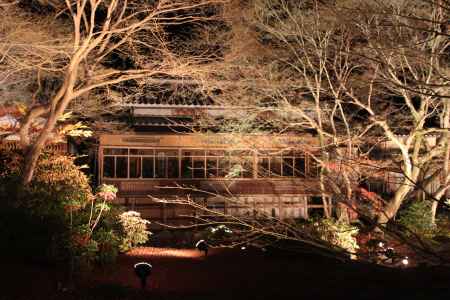 ライトアップされた宝厳院書院