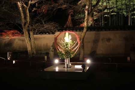 優美に照らされた作品