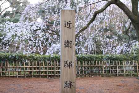 近衛邸跡の木標