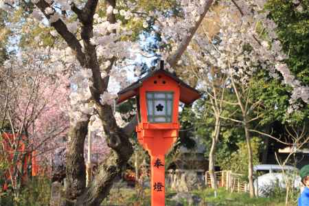 平野神社　灯篭