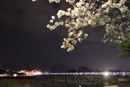 光る渡月橋