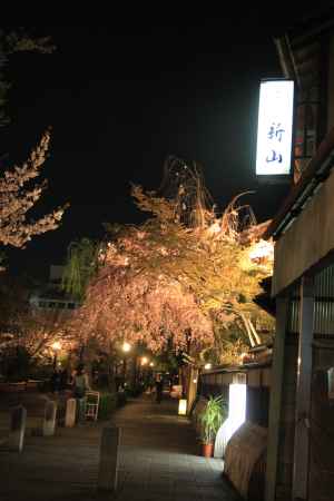 夜の祇園