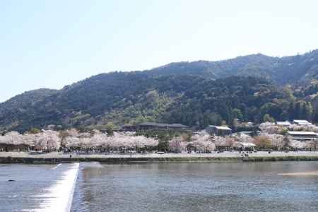 春の嵐山公園