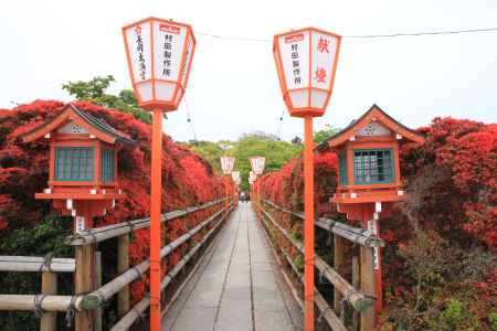 真っ赤なつつじに囲まれた道