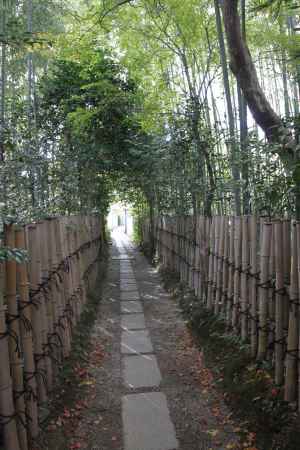 厭離庵竹林の道
