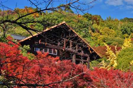 秋の大山崎山荘美術館