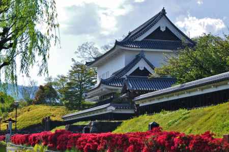 キリシマツツジ咲く勝竜寺城公園