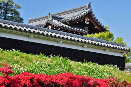 キリシマツツジ咲く勝竜寺城公園