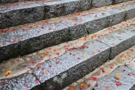 三千院　〜紅葉散りめく石段〜