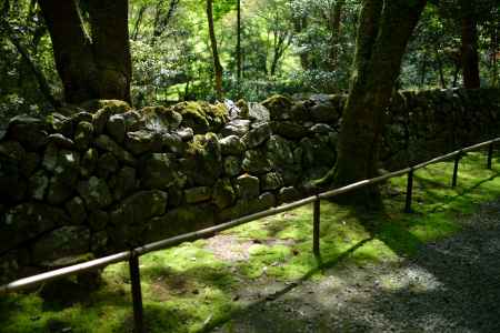 高山寺　木漏れ日