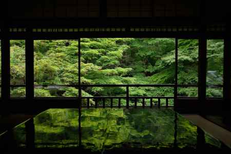 瑠璃光院　新緑の書院