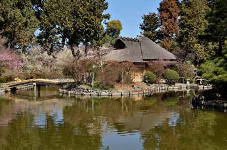 梅宮大社　（参集殿）