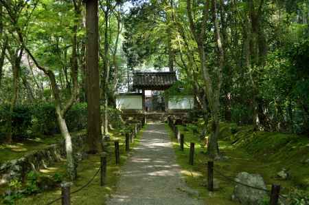 竹の寺　地蔵院
