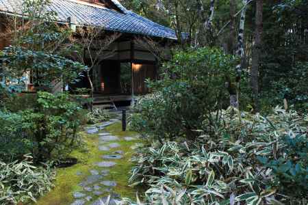 高桐院の世界・冬６