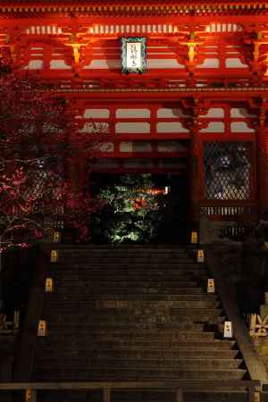 花灯路２０１３in清水寺