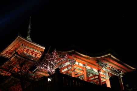 花灯路２０１３in清水寺４