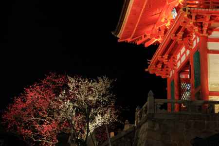 花灯路２０１３in清水寺１４