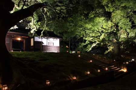 東山花灯路２０１３in青蓮院門跡２