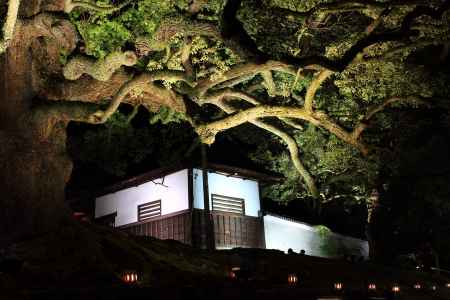 東山花灯路２０１３in青蓮院門跡４