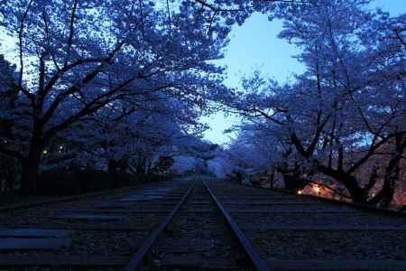 早春の蹴上インクライン１