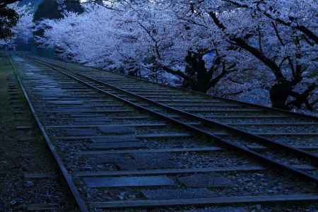 早春の蹴上インクライン３