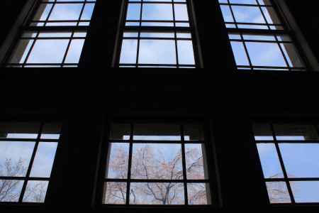 桜色に染まる京都府庁１０