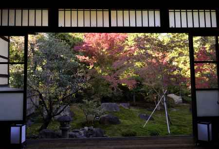 勝林寺・紅葉２０１３（３）
